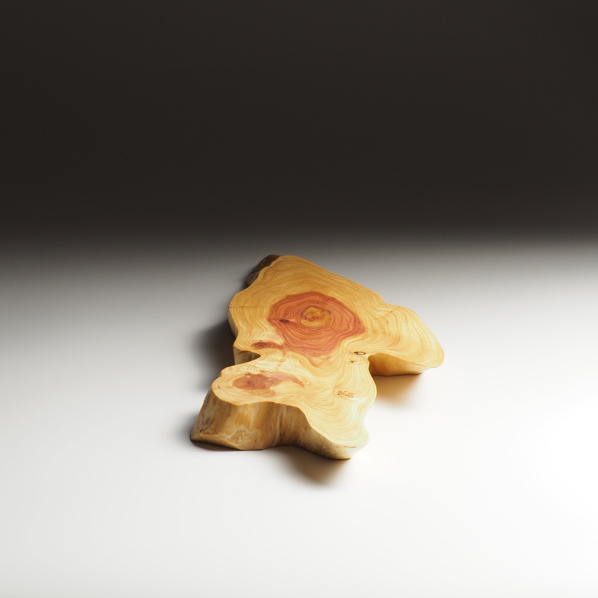 Ibuki | Sushi tray