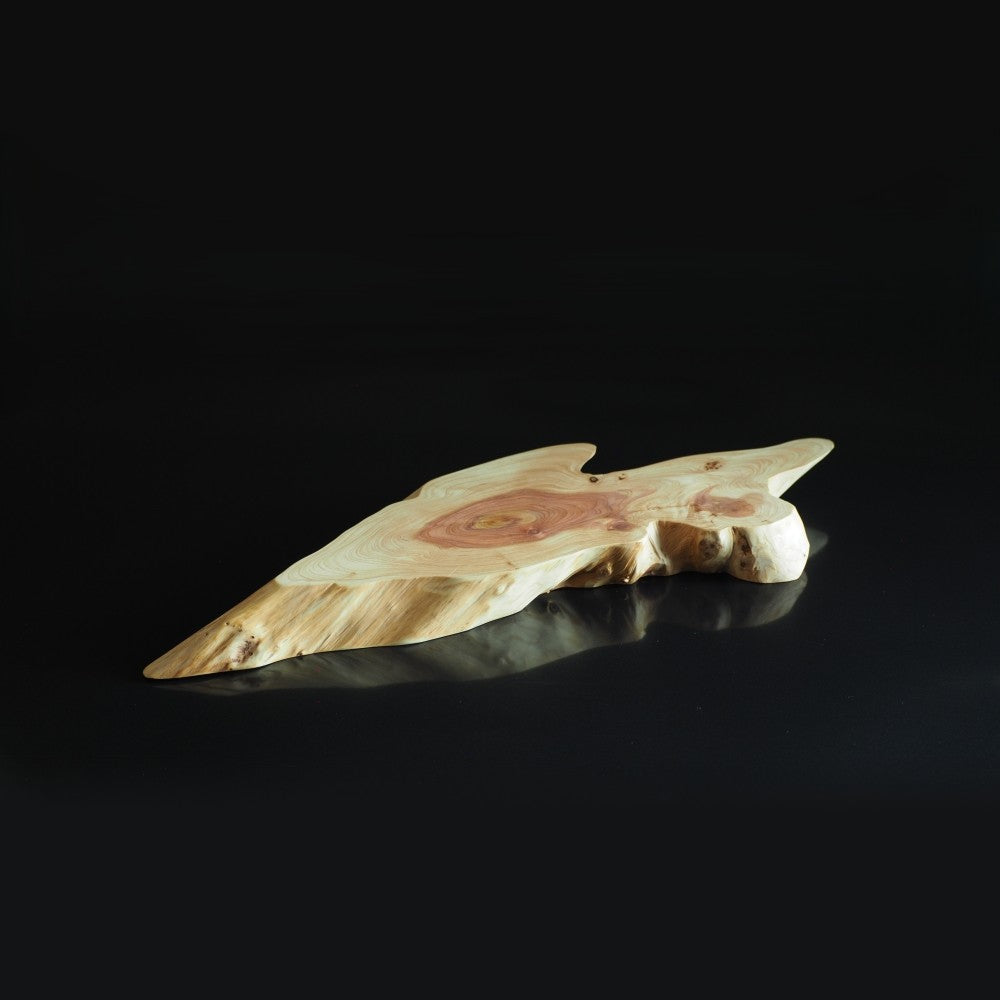 Japanese wooden sushi tray on a black background. Tsukushi