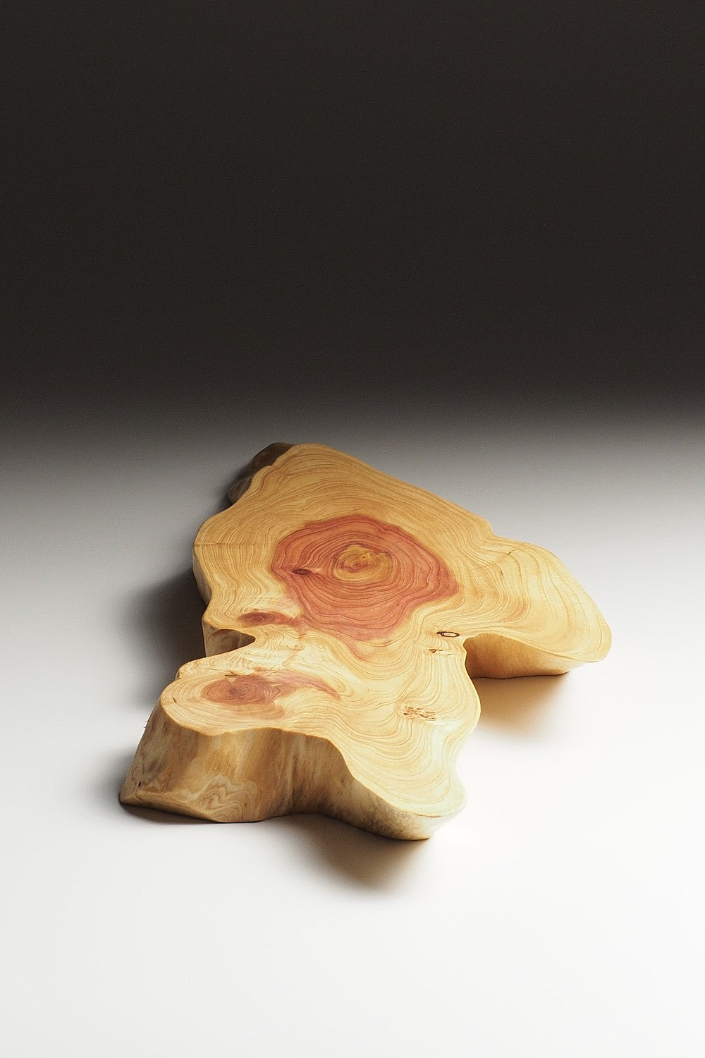 Japanese wooden sushi tray on a gray background. Tsukushi