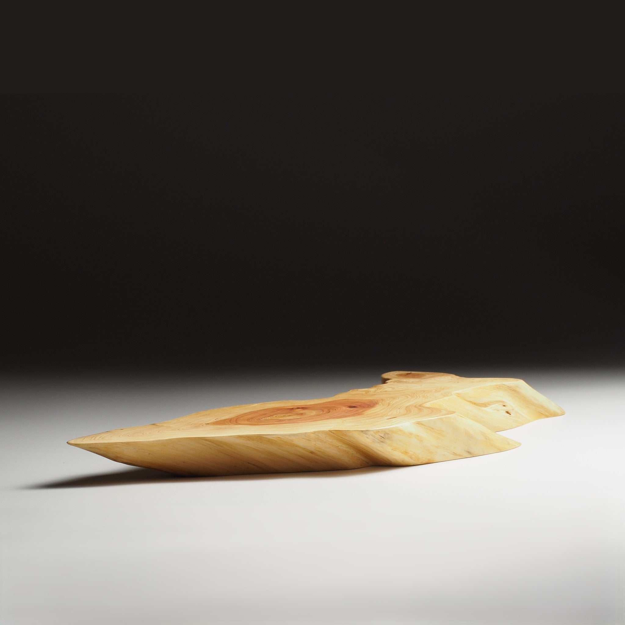 Japanese wooden sushi tray on a dark background. Tsukushi