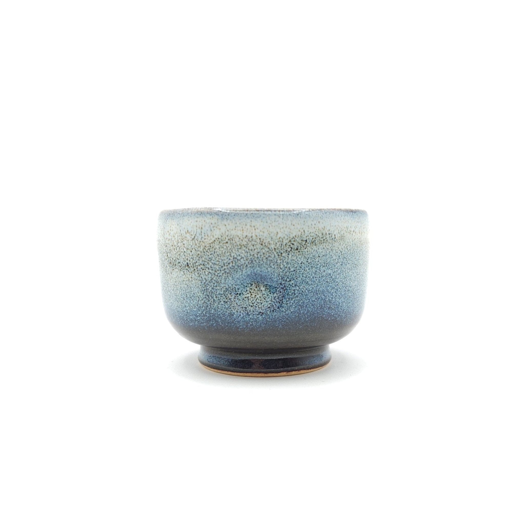 Authentic Japanese pottery teacup with tree decoration. blue and white color. (side view 2).