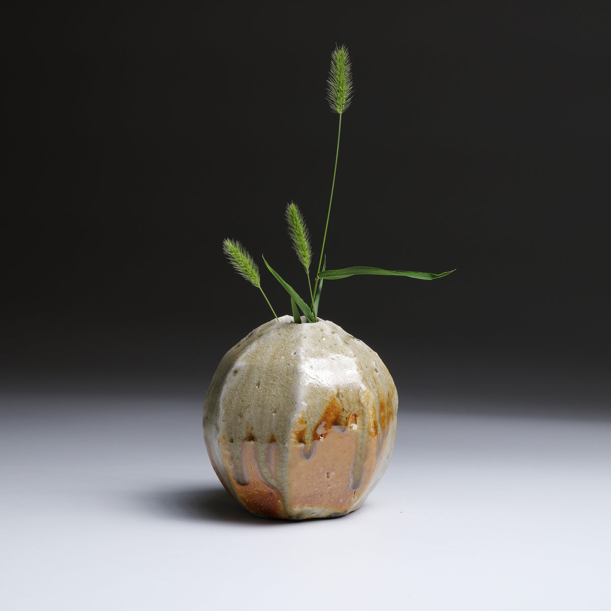 Kokeishi Shigaraki pottery flower vase photographed with foxtail grass on a gradient background.