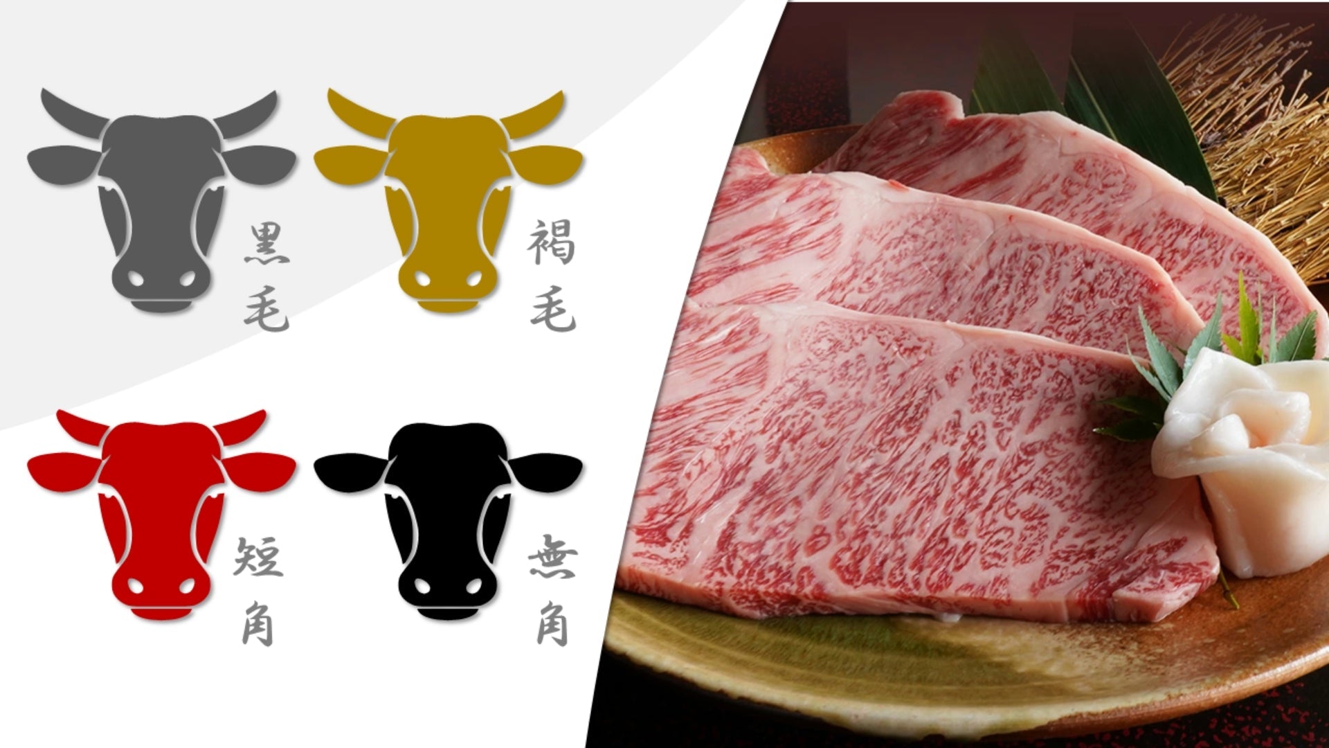 Beyond Black: Explore the Unique World of Wagyu Beef Breeds