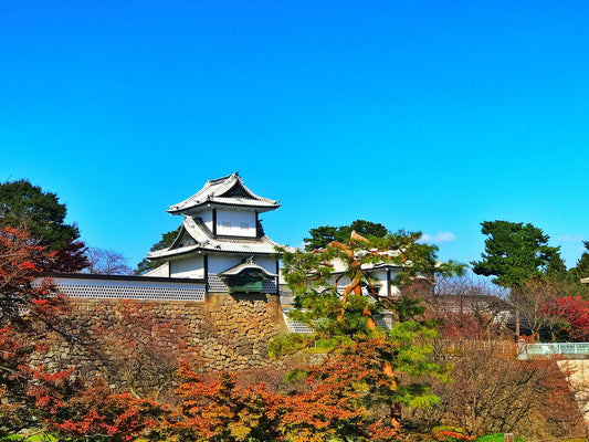 Where Everyday Shines: Unveiling Kanazawa's Golden Legacy