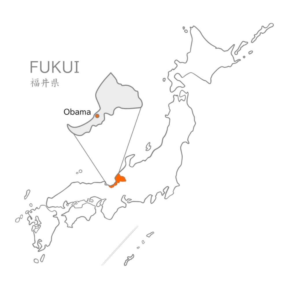 map of Obama city, Fukui (Square)