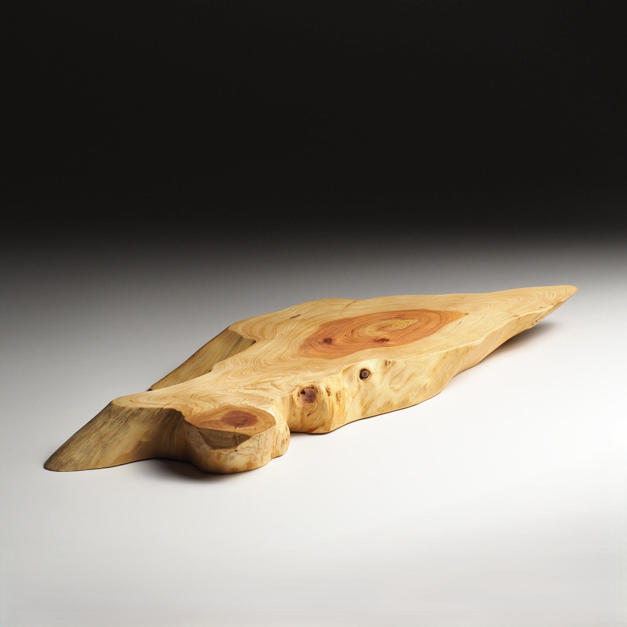 Side view of a Japanese wooden sushi tray on a light gray background. Tsukushi