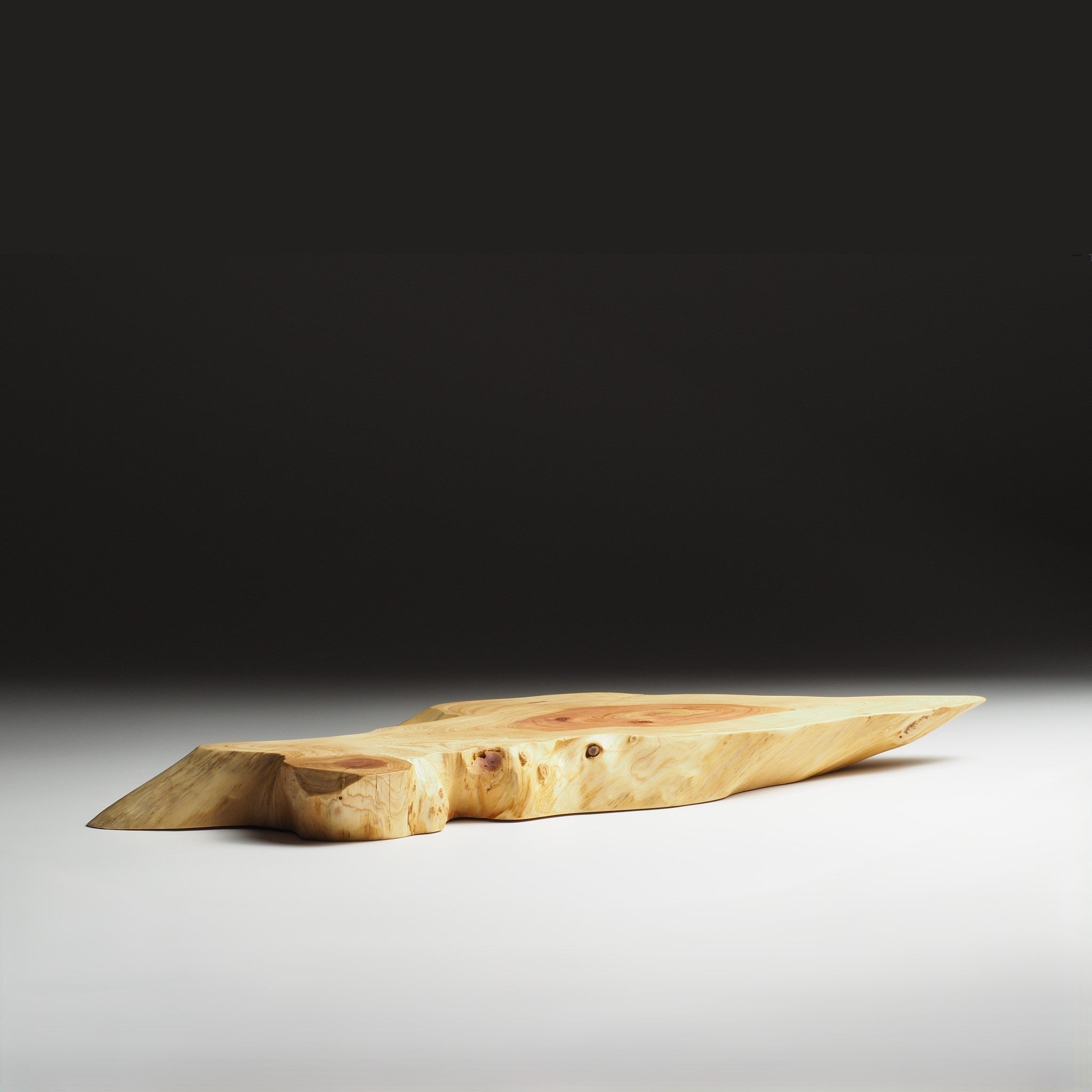 Japanese wooden sushi tray on a gray gradation background. Tsukushi