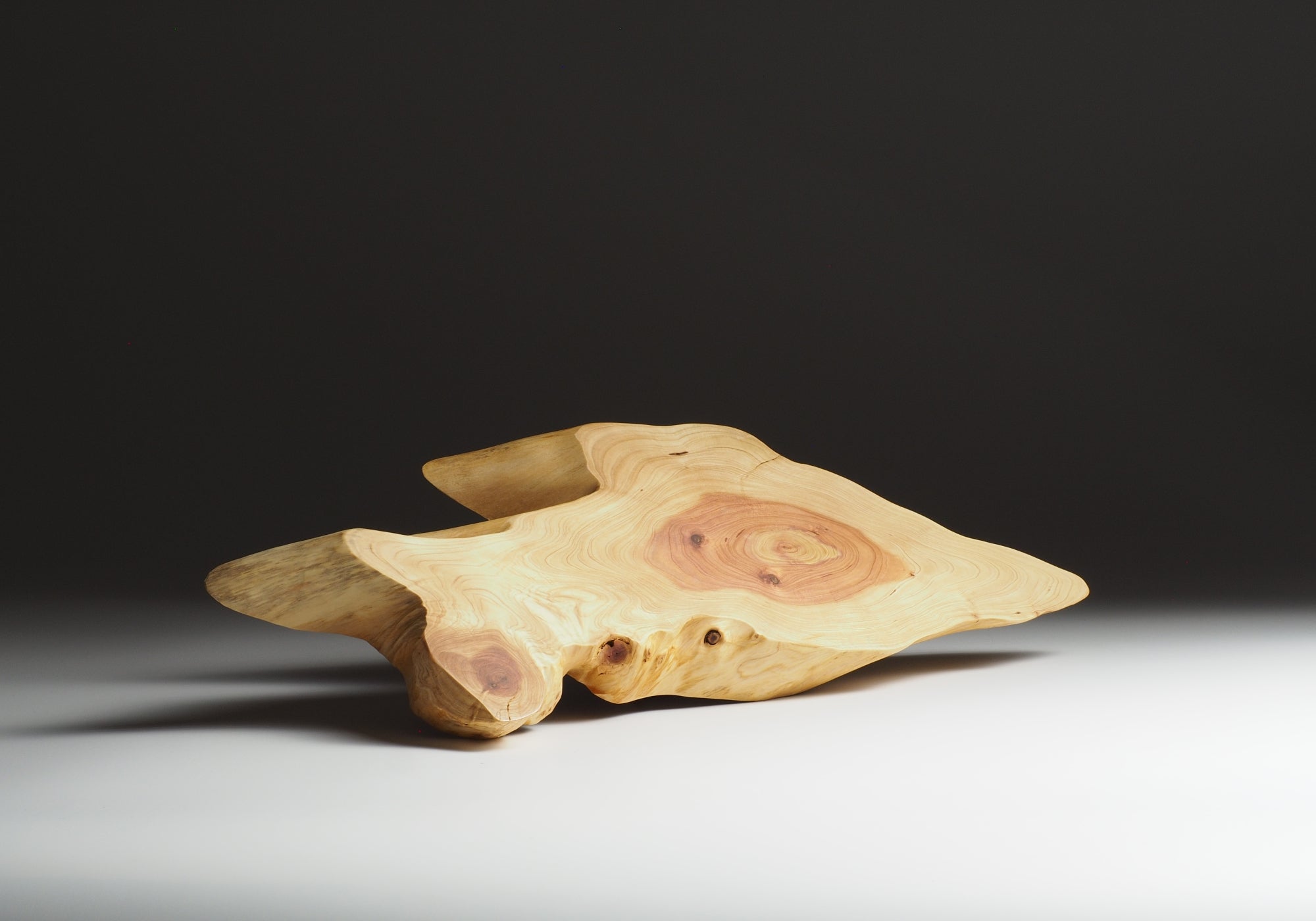 Japanese wooden tray on a dark background. Tsukushi