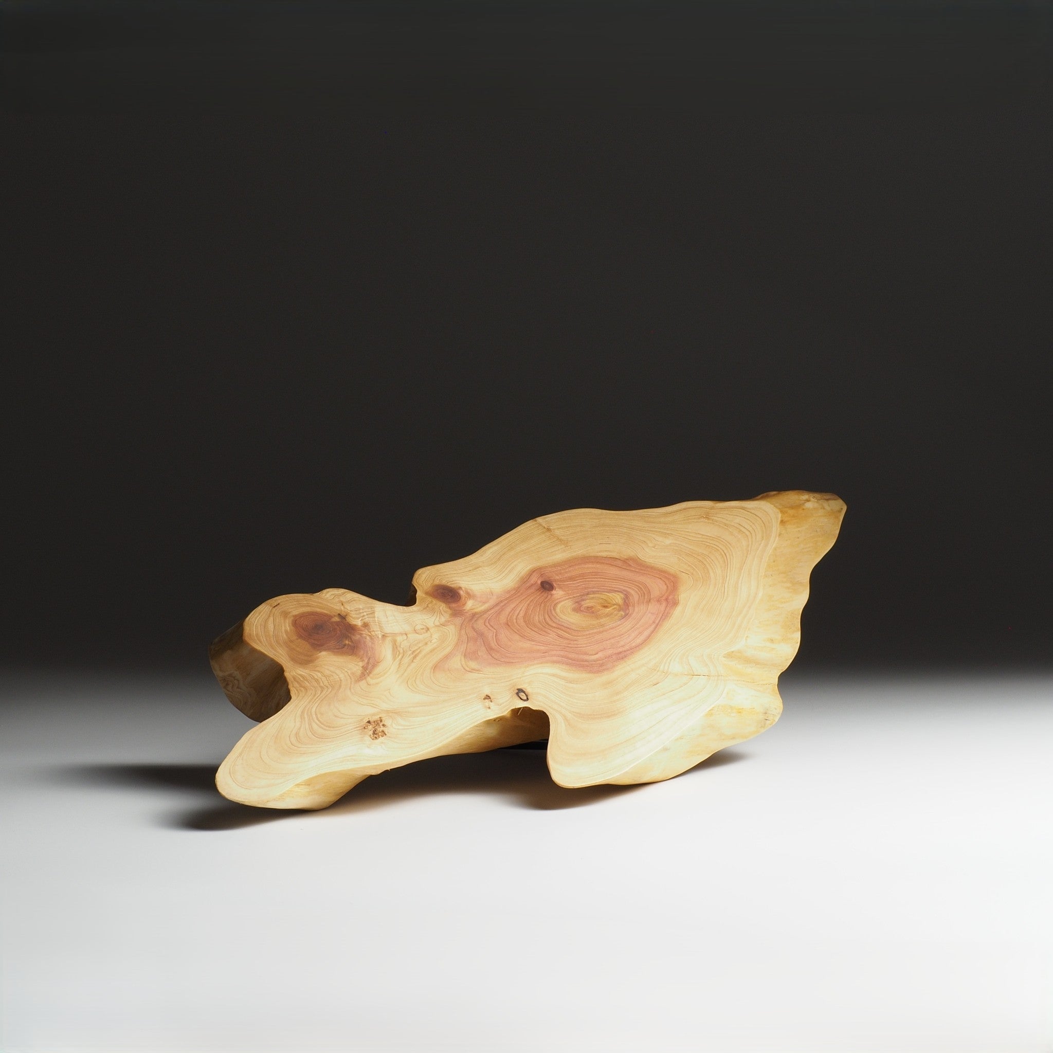 Japanese wooden sushi tray on a light gray background. Tsukushi