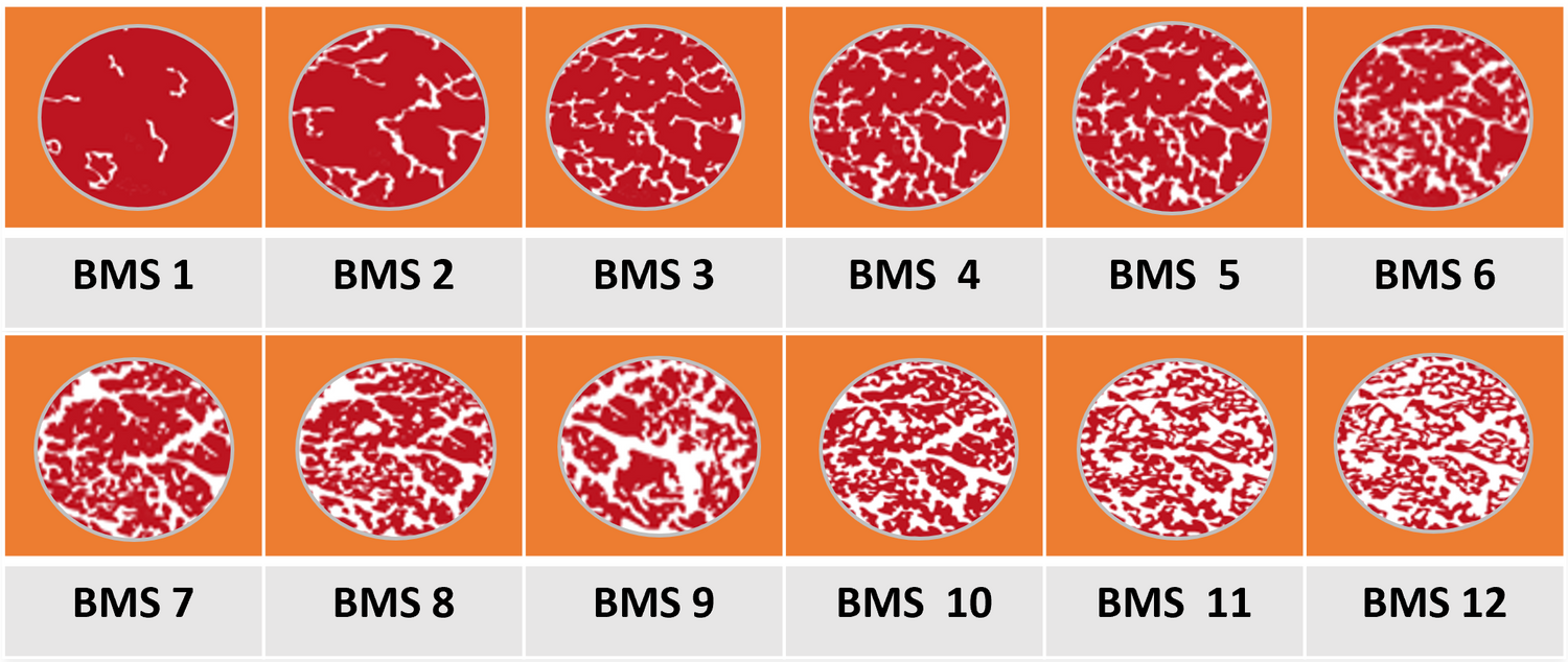 Japanese Wagyu BMS chart