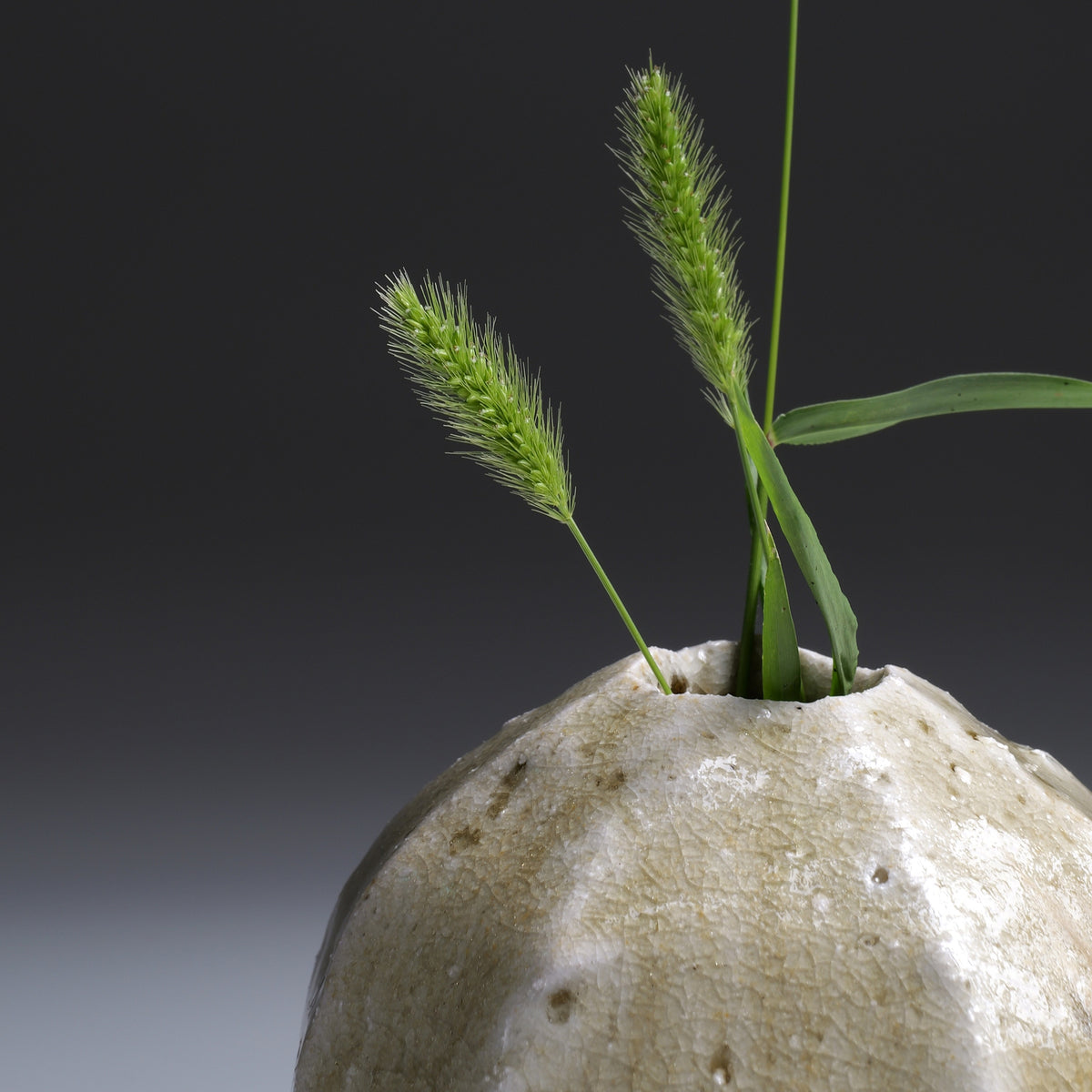 Close-up of the Kokeishi Shigaraki pottery flower vase with foxtail grass.