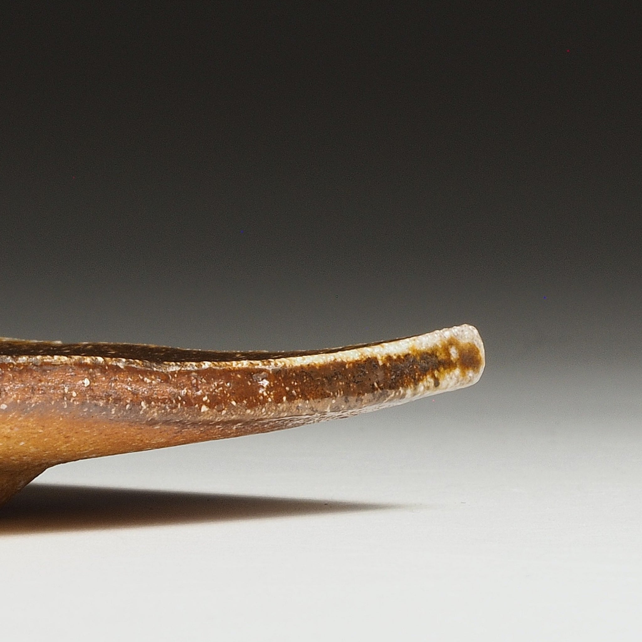 Close-up of the Nagafune handmade Shigaraki plate showing its narrow side profile and subtly curved rim.
