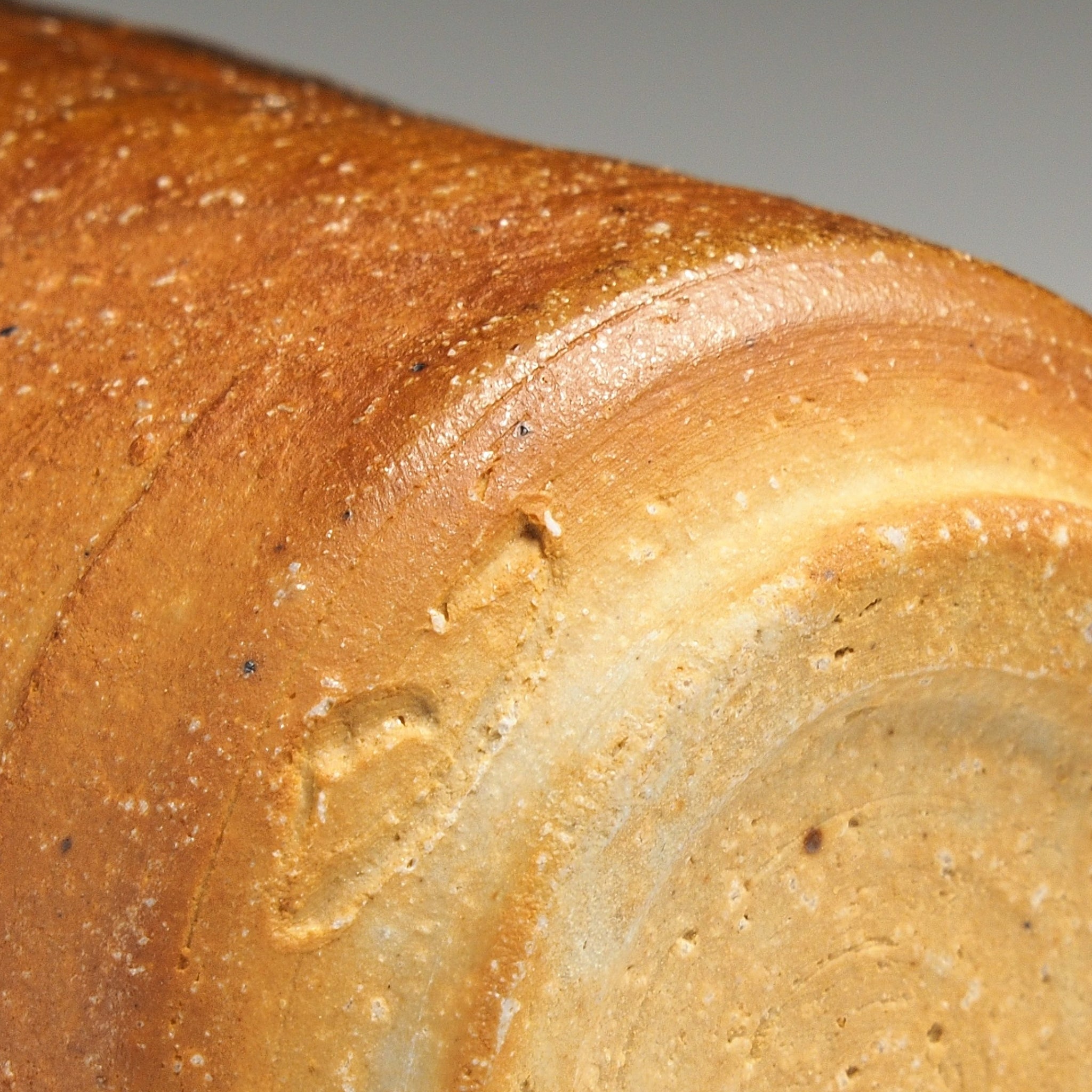 Close-up of the base of a Yubae handmade Shigaraki yunomi showing warm natural firing tones, the foot ring, and an impressed kiln mark.